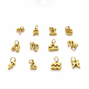 charm signo del zodíaco – acero inoxidable dorado